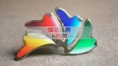 彩色徽章,彩色胸章,彩色徽標(biāo),彩色胸針