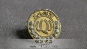 天心制藥鑲鉆徽章,鍍金鑲鑲徽章,真金胸針