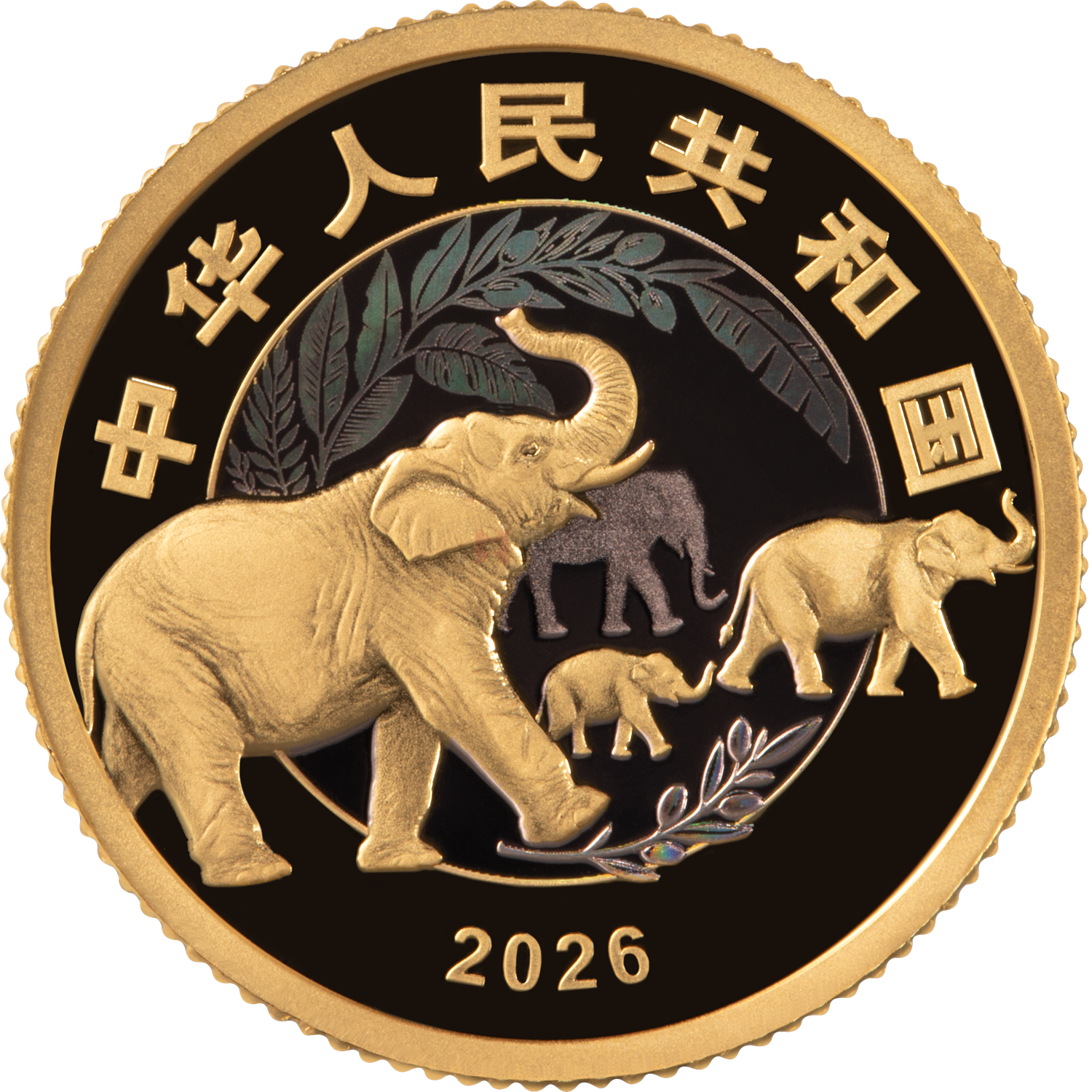 守護(hù)地球家園3克金質(zhì)紀(jì)念幣